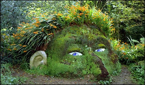 A Gnome in Your Garden | 1001 Gardens