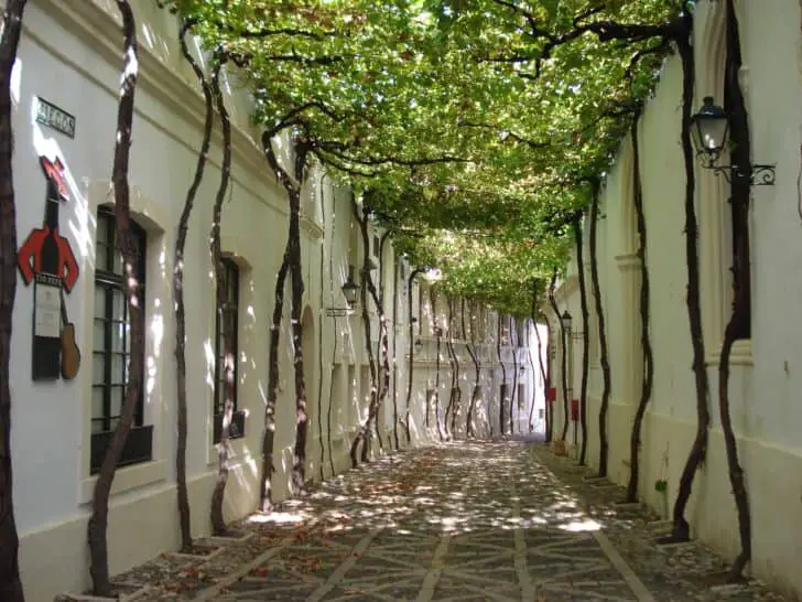 jerez-byass-bodega-old-streets-3-728x546