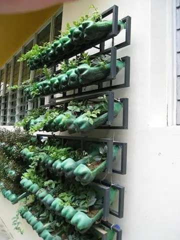 vertical recycled3 Vertical garden from soda bottles in vertical garden  with vertical garden urban sode bottles recycled 