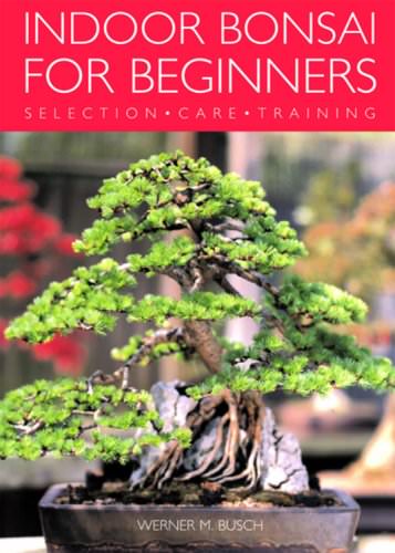  - Indoor-Bonsai-for-Beginners-Selection-Care-Training-0