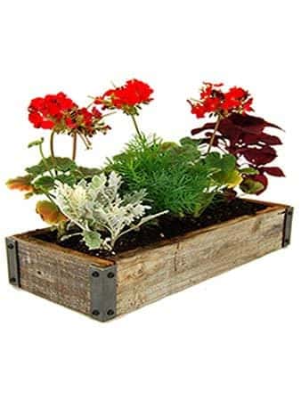 Planter Box Flower Garden Kit – Includes: Weathered Rustic Barn Wood
