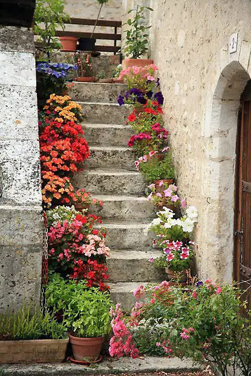 Steps garden