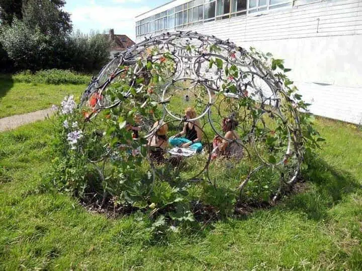 Bicycle Rim Vertical Gardening Dome 1001 Gardens