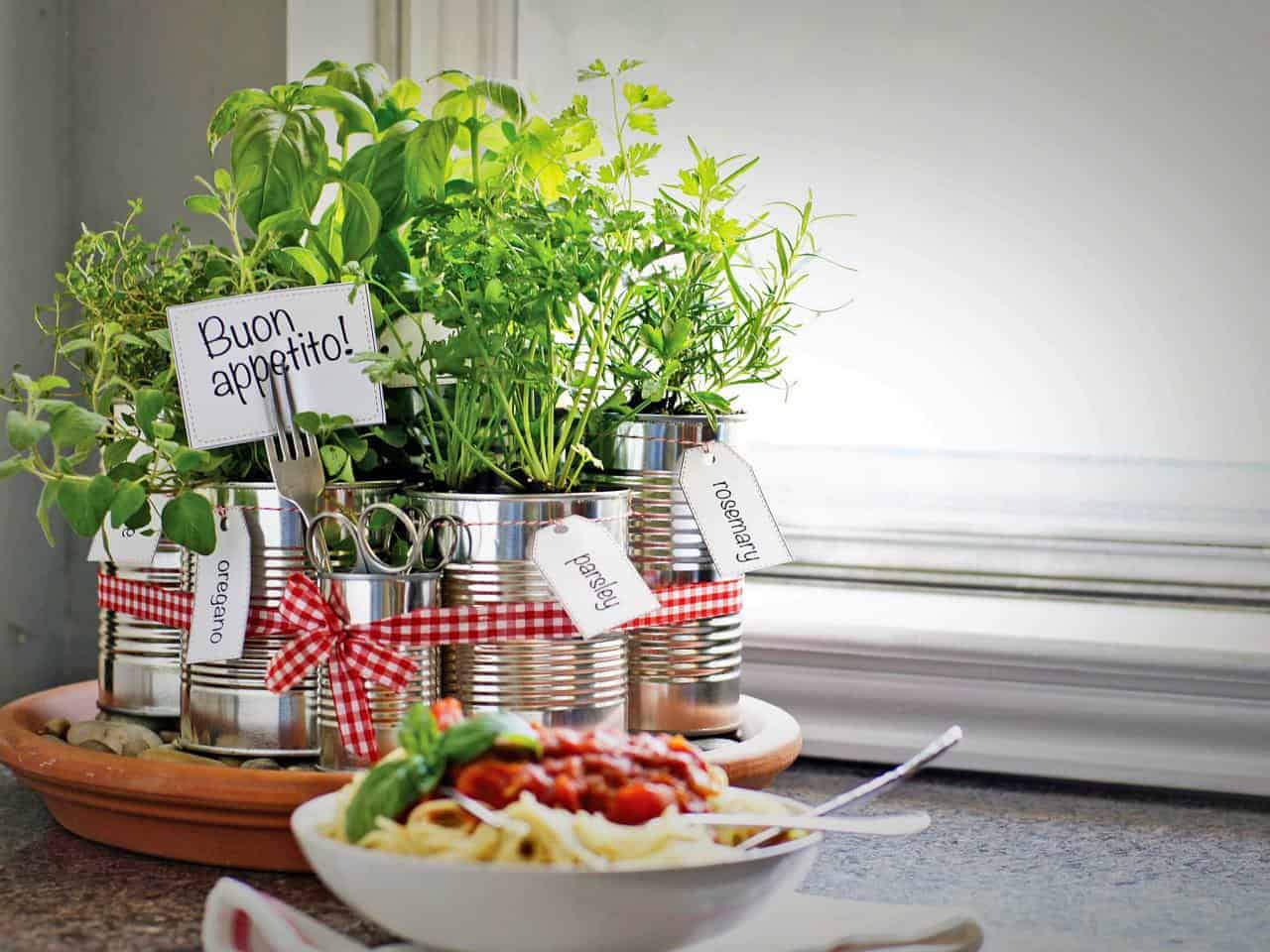 Upcycled Tin Cans Into Kitchen Countertop Herb Garden 1001 Gardens