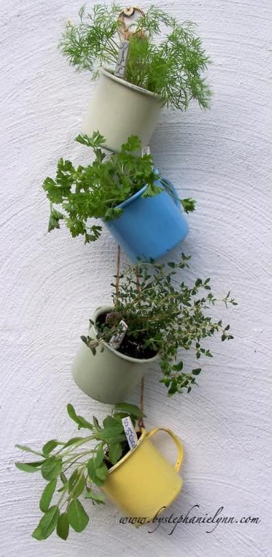 Hanging Coffee Cup Garden 1 - herbgarden