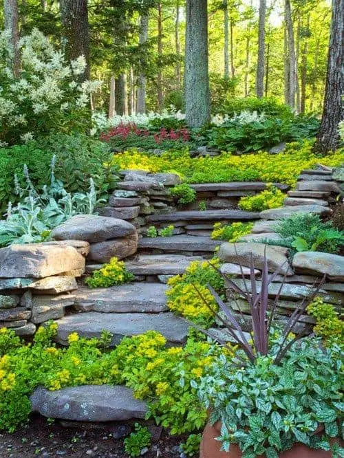 Forest Frolic 7 - gardenideas