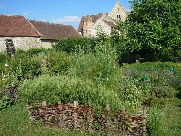 Medieval Garden Landscape in France 5 - Landscape & Backyard Ideas