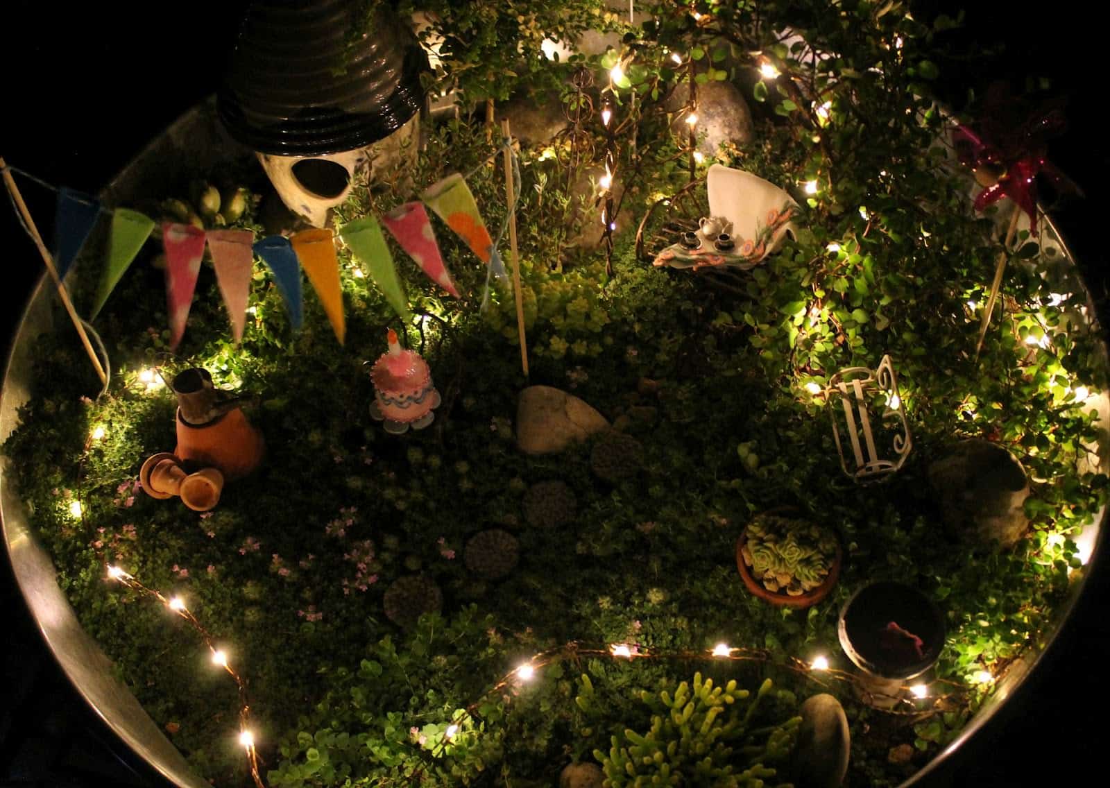 Mini Garden Party 1001 Gardens