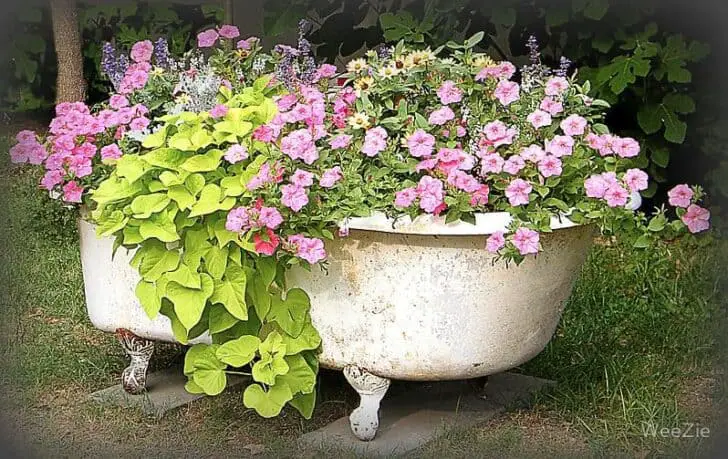 Flower Garden in a Bathtub 10 - Garden Decor