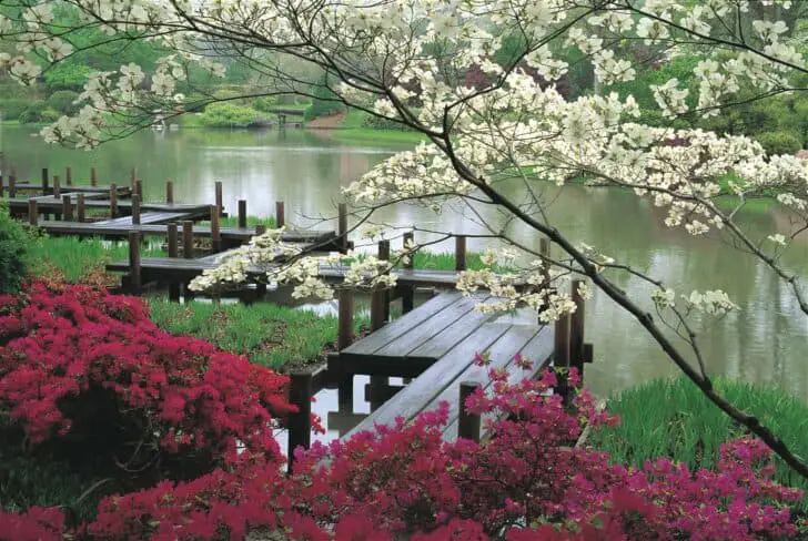 The Zen of a Japanese Garden Landscapes 24 - Flowers & Plants