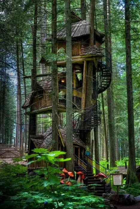 Three Story Tree House 26 - Summer & Tree Houses