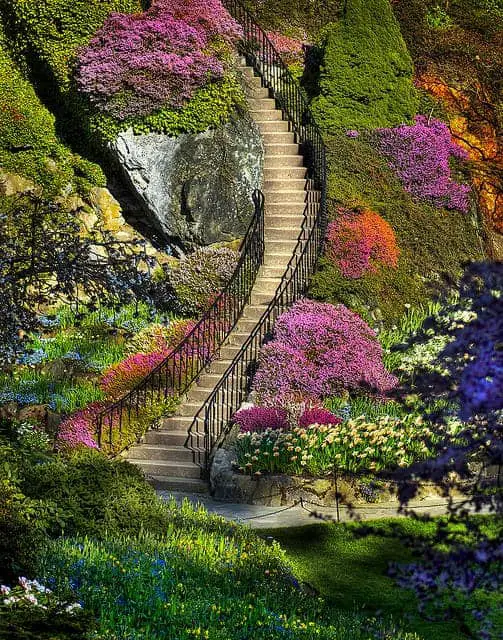 Stairway to Heaven ? 9 - Garden Decor