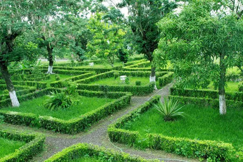 beautiful_garden