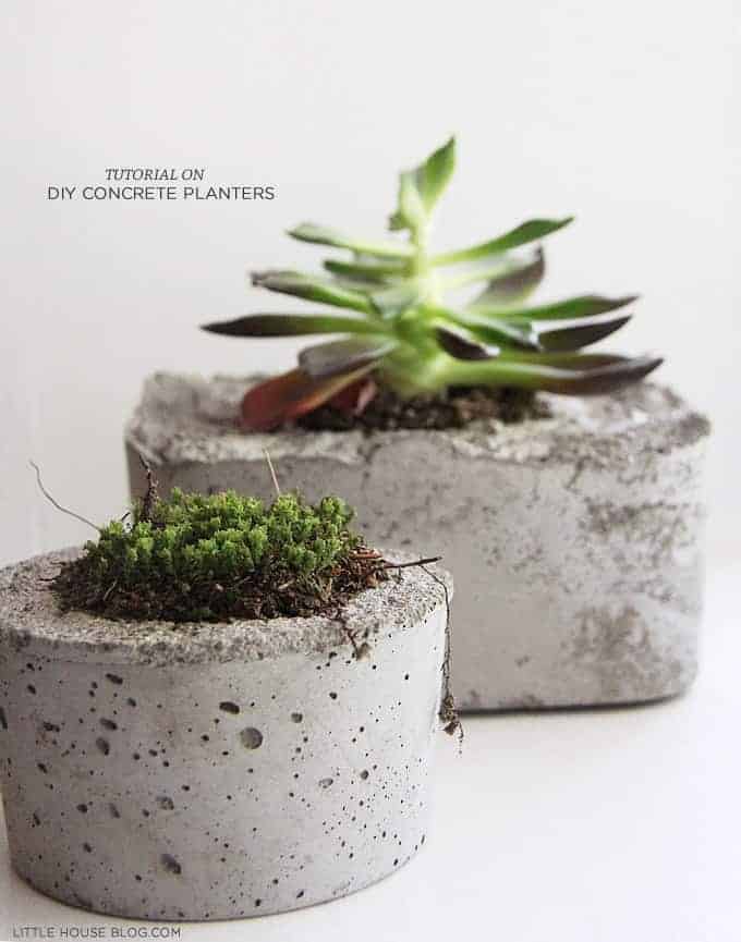 Diy: Concrete Planters 24 - Summer & Tree Houses