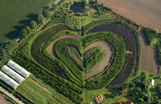 Hearts in Nature Landscape : Heart-shaped Garden in Waltrop, Germany 7 - Flowers & Plants