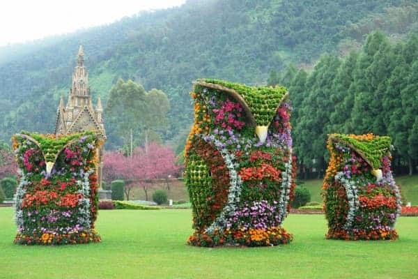 Flower Owls Sculptures 13 - Flowers & Plants