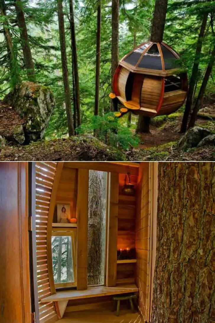 Secret Hemloft Treehouse in Canadian Woods