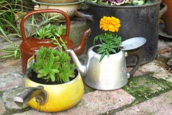 Upcycled Tea Kettle Planters 29 - Flowers & Plants