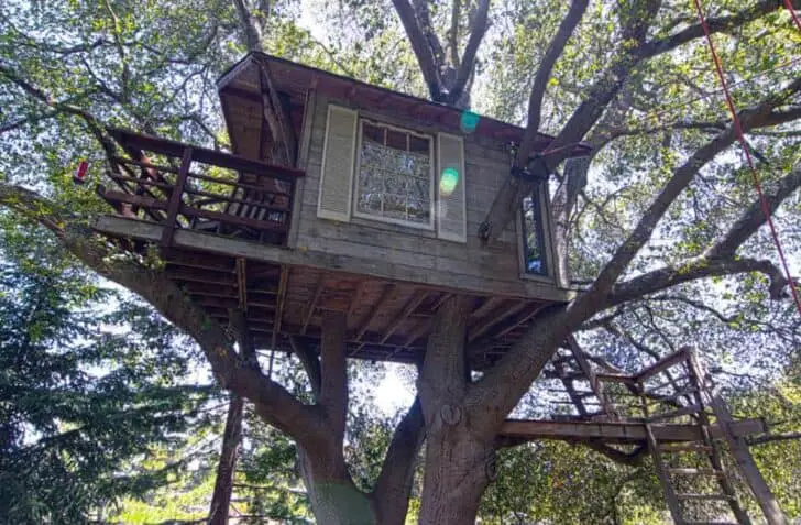 Burlingame Treehouse 5 - Summer & Tree Houses