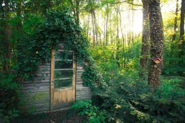Quiet Cabin in Belgium 28 - Summer & Tree Houses
