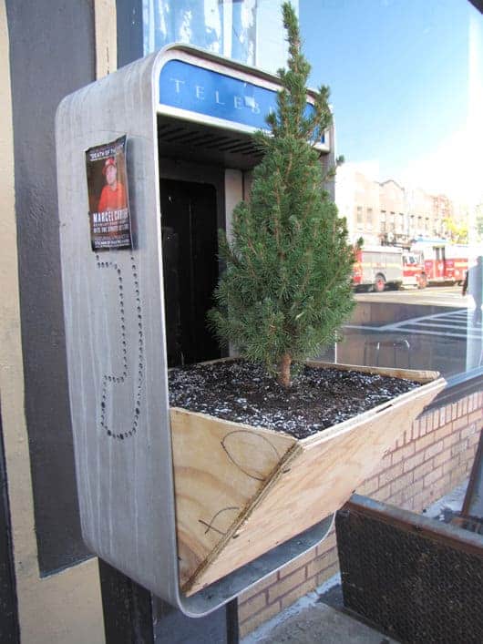 Repurposed Phone Box into Tree Planters 38 - Flowers & Plants