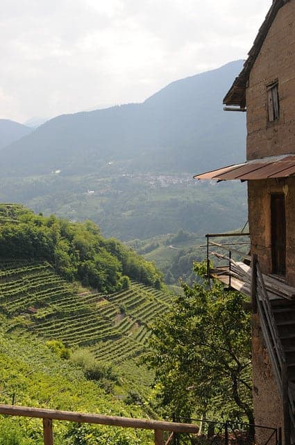 Vineyards Landscape in Italy 18 - Landscape & Backyard Ideas