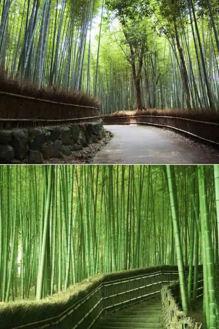 Arashiyama Garden in Kyoto