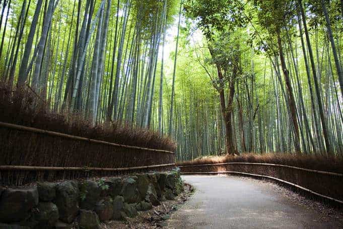 Arashiyama1