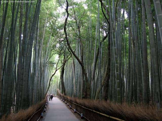 Arashiyama2