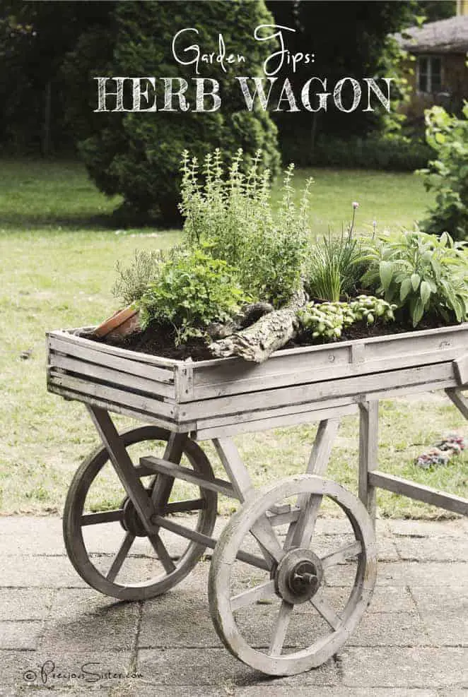 Herb Wagon 1 - Flowers & Plants