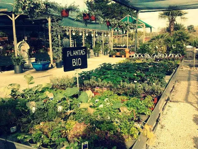 kitchen-garden