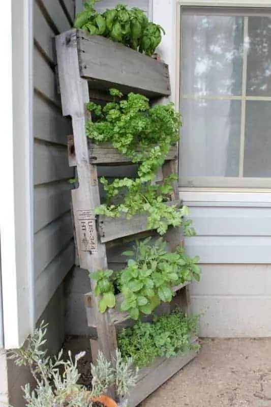 Upcycled Pallet as a Vertical Garden 5 - Flowers & Plants