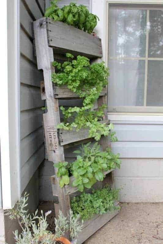 Upcycled Pallet as a Vertical Garden 12 - Flowers & Plants