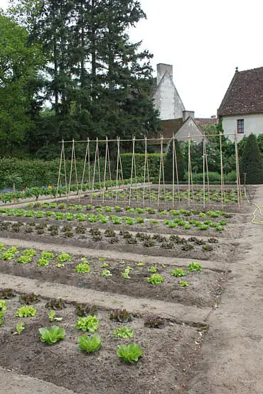 herbs-garden