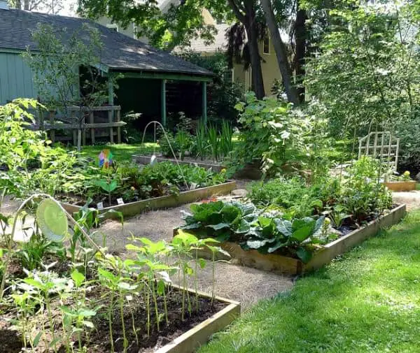 5 Reasons To Build A Raised Garden Bed 14 - Flowers & Plants