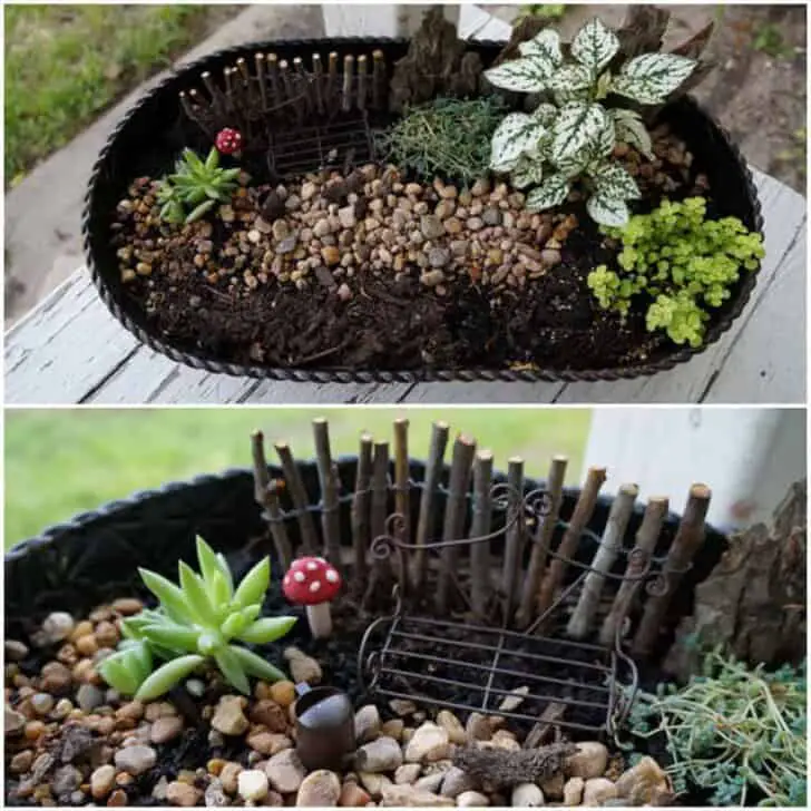 Miniature Garden 6 - Flowers & Plants