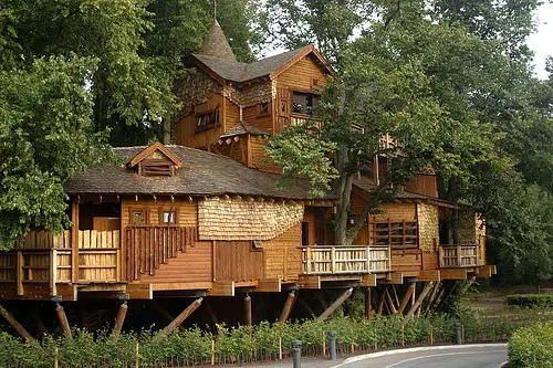 Tree House