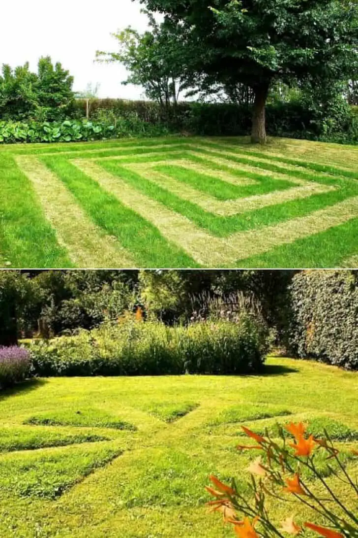 Making Fun of Cutting Lawn