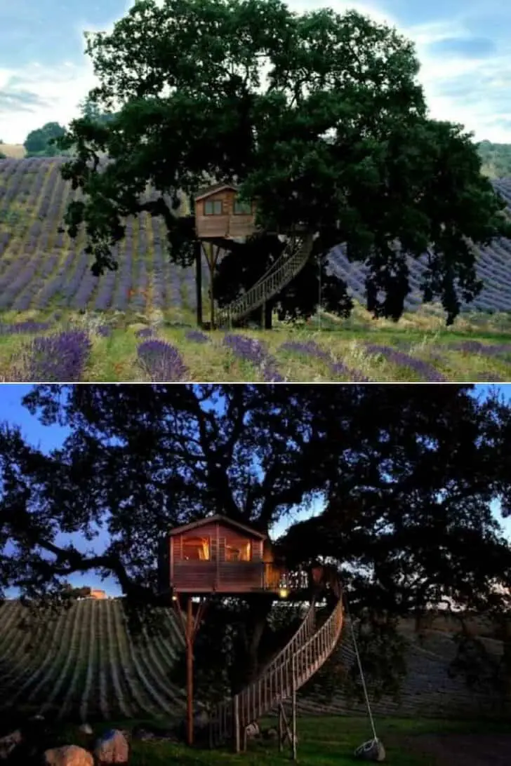 Treehouse on Lavender Fields