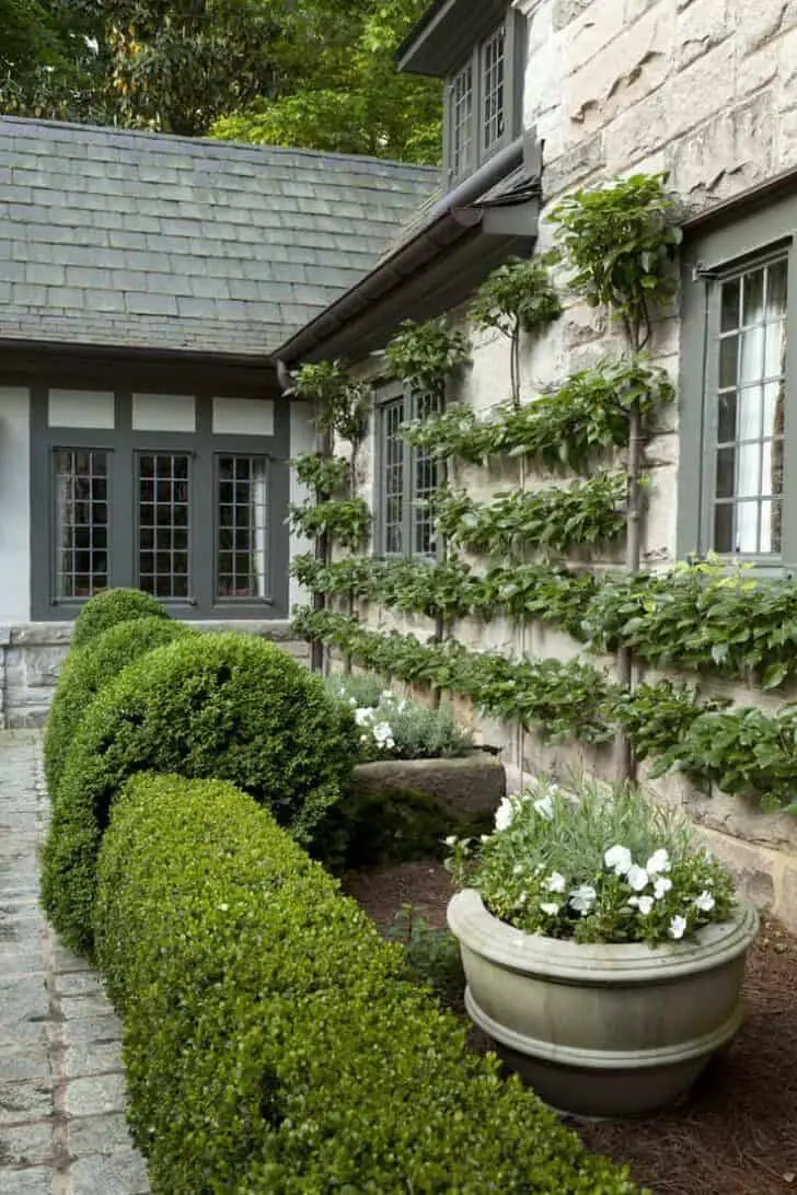 French Parterre 1 - Flowers & Plants