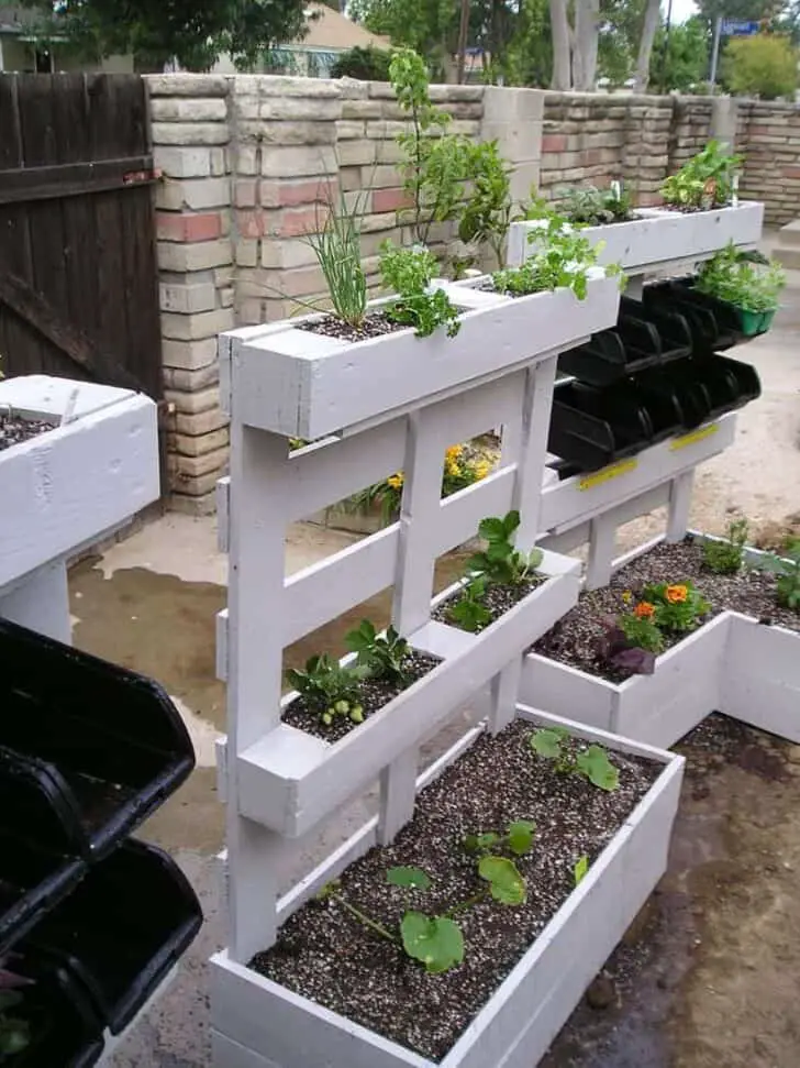 Best Herb Garden Ideas Outdoor and Indoor