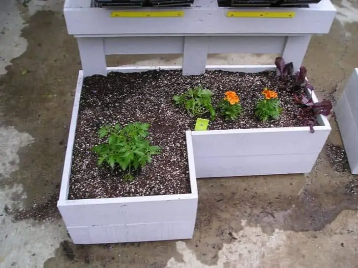 pallet-planter2