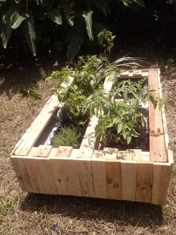 Pallet Planter 24 - Flowers & Plants