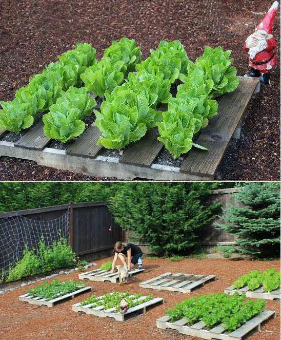 Really Neat Pallet Planters 6 - Flowers & Plants