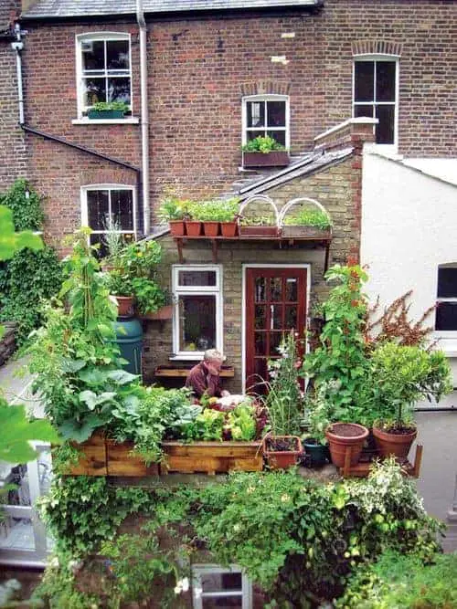 Balcony Garden in the Uk 10 - Urban Gardens & Agriculture