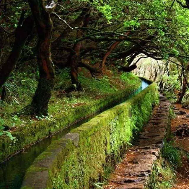 The Levadas Landscape in Madeira 9 - Landscape & Backyard Ideas