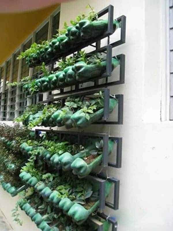 Vertical Garden from Soda Bottles 9 - bottle