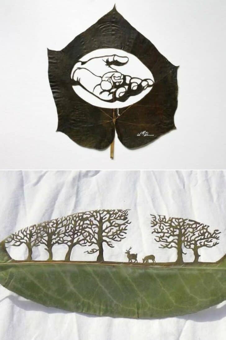 Art on Leaves by Lorenzo Duran 17 - Garden Decor - 1001 Gardens Art on Leaves by Lorenzo Duran