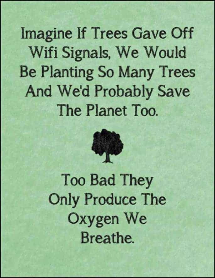 Imagine If Trees Gave Off Wifi Signals 7 - Urban Gardens & Agriculture