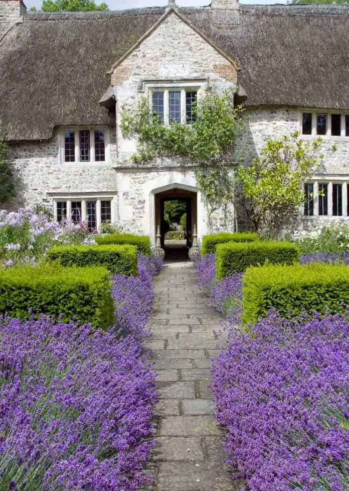 Arne Maynard Garden Design Landscape